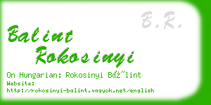 balint rokosinyi business card